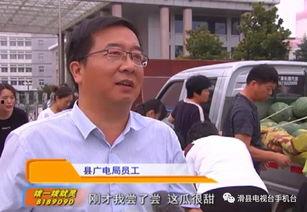 滑县最新吃瓜事件,真相揭秘引网友热议