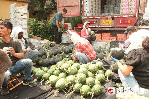 前沿吃瓜3,揭秘娱乐圈最新热点事件