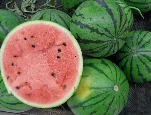 这个夏天不宜吃瓜,夏日忌食瓜果的养生小贴士